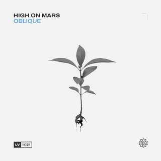View Oblique (Extended Mix) track details