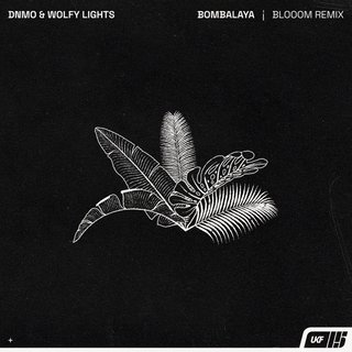 View Bombalaya (Blooom Remix) track details