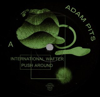 View International Wafter track details