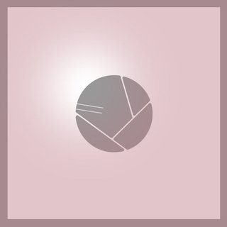 View Mirror (Perel Remix) track details