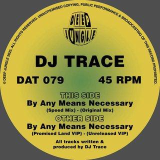 View By Any Means Necessary track details
