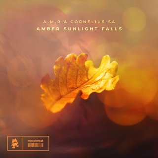 View Amber Sunlight Falls (Original Mix) track details