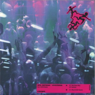 View Why (FJAAK Remix) track details