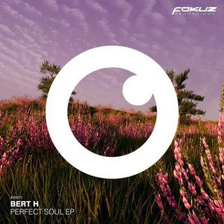 View Perfect Soul (Original Mix) track details