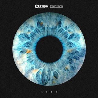 View Rush (Original Mix) track details