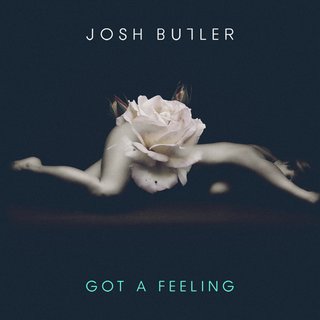 View Got A Feeling (Bontan Remix) track details