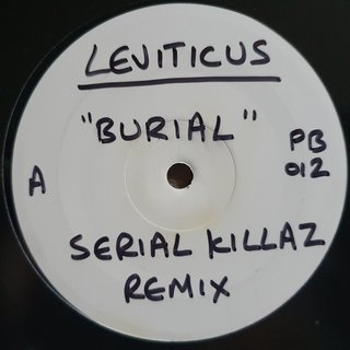 Big Bad & Heavy (Serial Killaz Remix)