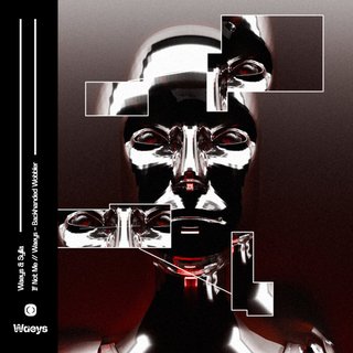 Backhand Wobbler (Original Mix)