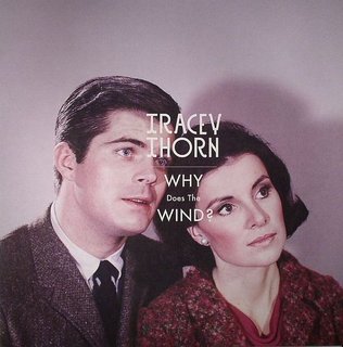 View Why Does The Wind? (Morgan Geist Remix) track details