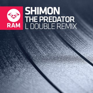 View Within Reason (Liftin' Spirits Remix) track details