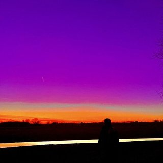 Fen Violet (Original Mix)