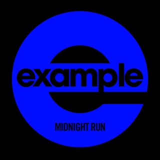 Midnight Run (Flux Pavilion Remix)