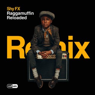 View Badboy Business (Kings Of The Rollers Remix) track details