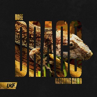 Draco (Original Mix)