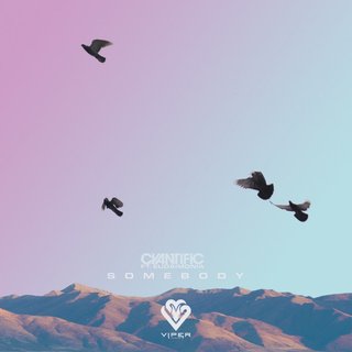 View Somebody (Original Mix) track details