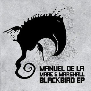 View Blackbird (Original Mix) track details