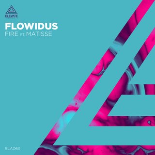 View Fire (Original Mix) track details