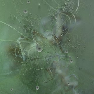 View Winged (Priori Rezone) track details