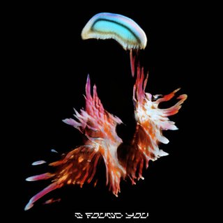 I Found You (Original Mix)