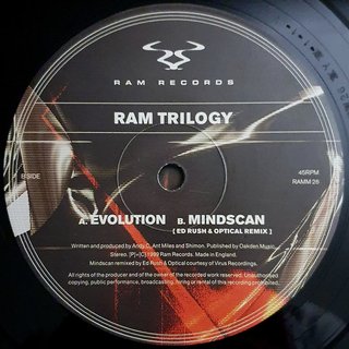 View Evolution (Original Mix) track details