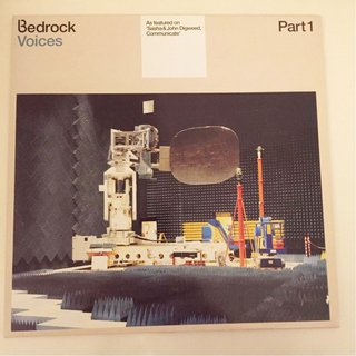 View Voices (DJ Remy Remix) track details