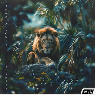View Slumber (Original Mix) track details