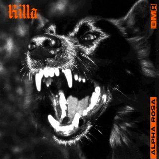 View Killa (Original Mix) track details