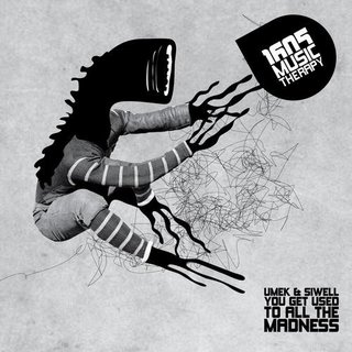 View You Get Used To All The Madness (Original Mix) track details