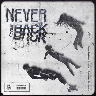 View Never Come Back (Original Mix) track details