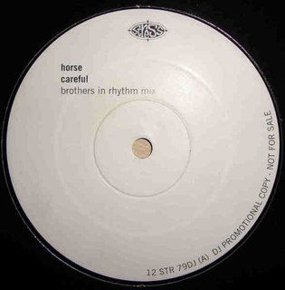 Careful (Brothers In Rhythm Mix)