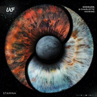 View Stamina (Original Mix) track details