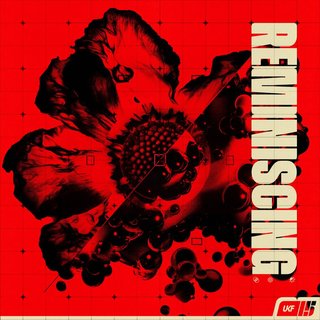 View Reminiscing (Original Mix) track details