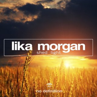 View Shed Light (Fort Arkansas Remix) track details