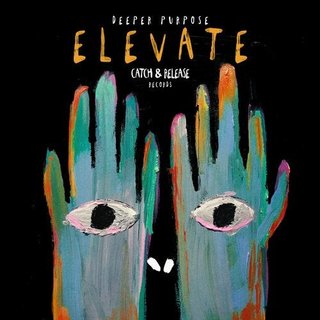 View Elevate track details