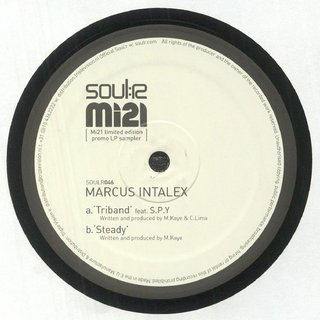 View Steady track details