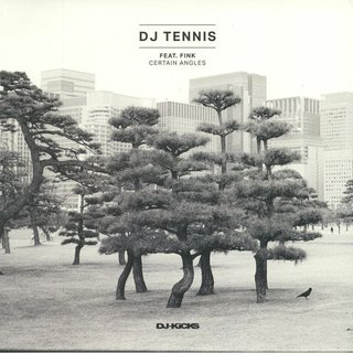 View Certain Angles (Club Mix) track details