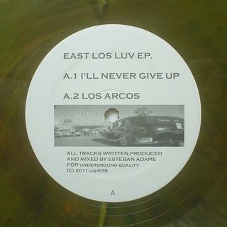View I'll Never Give Up track details
