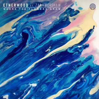 View Where The Flowers Grow (Original Mix) track details