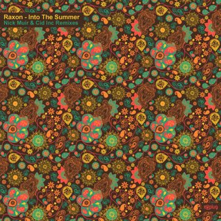 View Into The Summer (Nick Muir Remix) track details