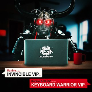 View Invincible VIP track details