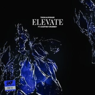 View Elevate (Original Mix) track details