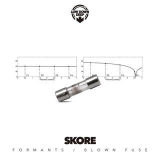 View Blown Fuse track details