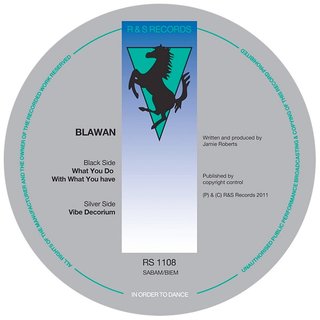View What You Do With What You Have track details
