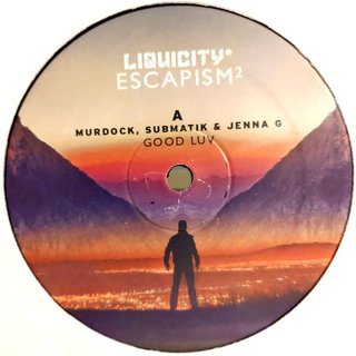 View Believe (Logistics Remix) track details