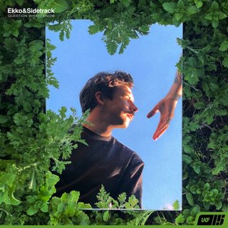 View Question What I Know (Original Mix) track details