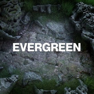 View Evergreen (Original Mix) track details