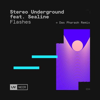 View Flashes (Das Pharaoh Remix) track details