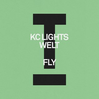 View Fly (Extended Mix) track details