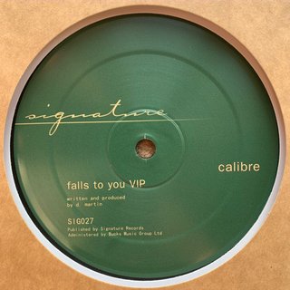 Falls To You VIP