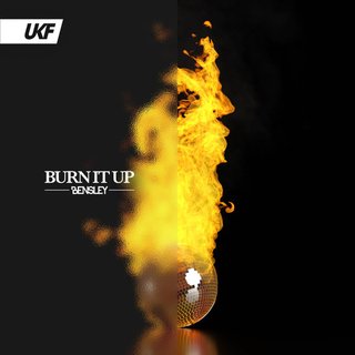 View Burn It Up (Original Mix) track details